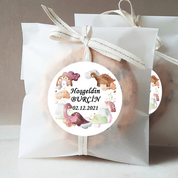 Soft Pembe Dinazorlar Temalı Sticker