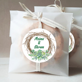 Sukulent ile Dal Çerçeve Temalı Sticker