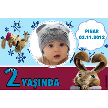 Tavşancık Temalı Magnet