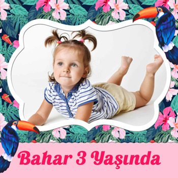 Tukan Kuşu Pembe Çiçekler Temalı Kare Doğum Günü Parti Afiş