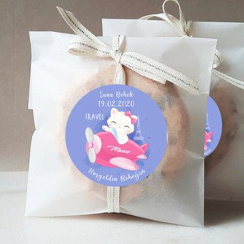 Uçaklı Beyaz Kedi 2 Temalı Sticker