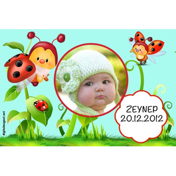 Uğur Böcekleri Temalı Magnet