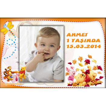 Winnie The Pooh Fonlu Magnet
