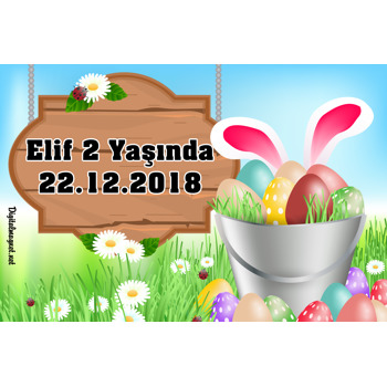 Yumurtalı Tavşan Temalı Doğum Günü Magnet